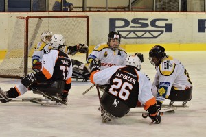 sledge-zlin-litvinov-09-01-2016-02